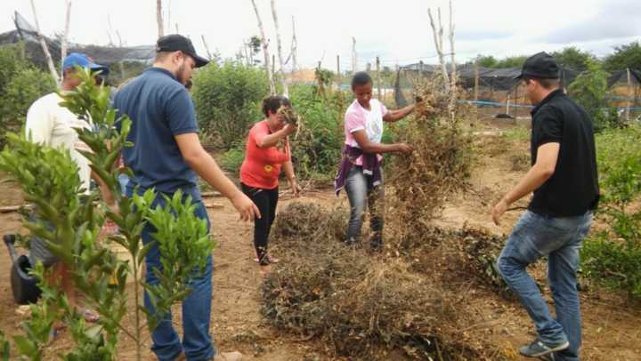 ATER AGROECOLÓGICO/SEAD (CEDASB) realiza “Dias de Campo” com agricultores/as de comunidades de Encruzilhada e Cândido Sales