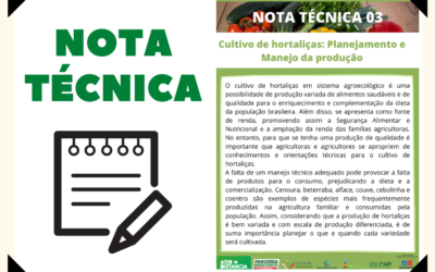Cultivo de hortaliças: planejamento e manejo da produção – Nota técnica