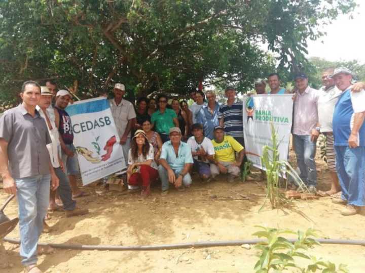 ATER Bahia Produtiva/ CEDASB realiza ações de incentivo aos Sistemas Agroflorestais (SAFs)