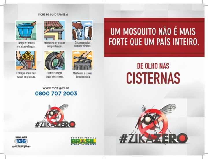 Zica Zero: Cedasb junto à luta contra o mosquito