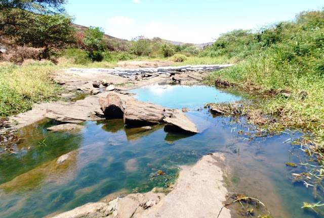 Encontro sobre a bacia do Rio Pardo – Os (des) caminhos do Rio Pardo e seus afluentes: águas de ontem e de hoje