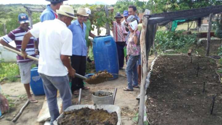 Equipe de ATER (BahiAter) do CEDASB realiza Dia de Campo com agricultores/as de comunidades de Cordeiros e Piripá