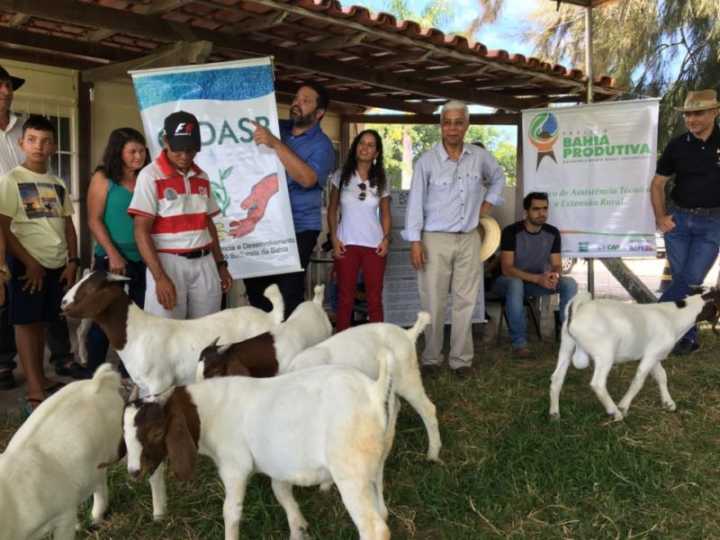 ATER Bahia Produtiva do CEDASB realiza intercâmbio com agricultoras e agricultores criadores de caprinos e ovinos em área experimental da UESB