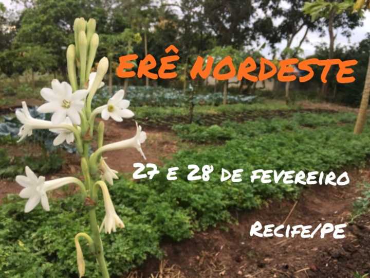 Encontro de Agroecologia  mobiliza campo e cidade no Recife