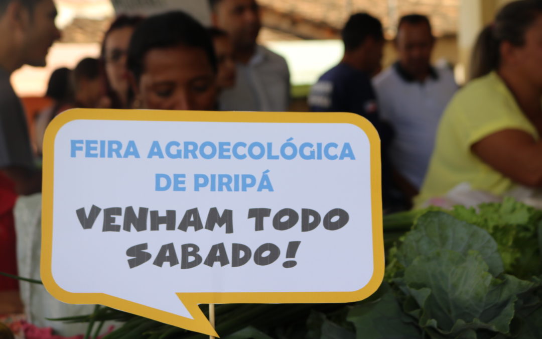 Feira Agroecológica de Piripá/BA