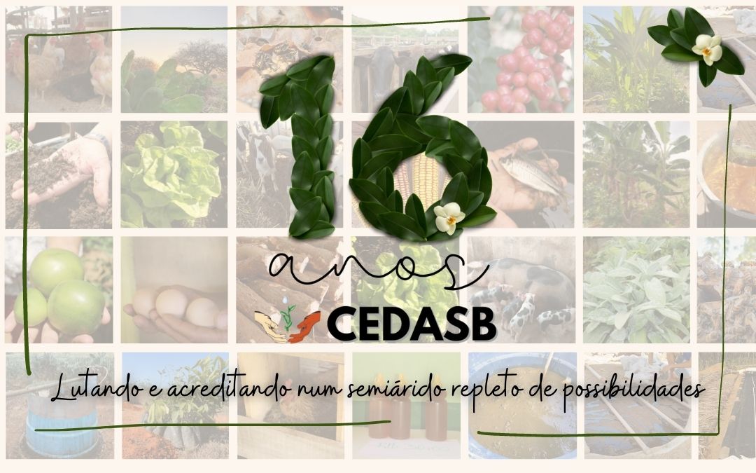 O Cedasb celebra 16 anos de história