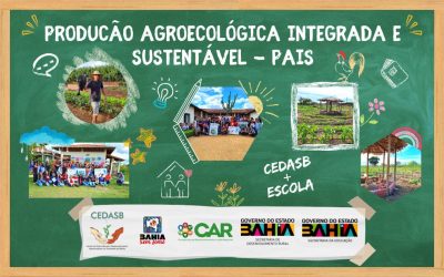 O CEDASB leva Agroecologia para Escolas Estaduais do Sudoeste da Bahia, através do Projeto PAIS.