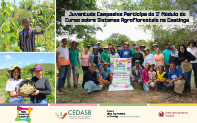 Juventude Campesina Participa do 3º Módulo do Curso sobre Sistemas Agroflorestais na Caatinga