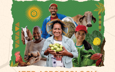 Livro ATER AGROECOLOGIA: Partilha de saberes e Contrução de fazeres no interior da Bahia