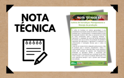 Cultivo de hortaliças: planejamento e manejo da produção – Nota técnica