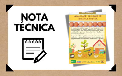 Qualidade dos ovos de galinha caipira – nota técnica