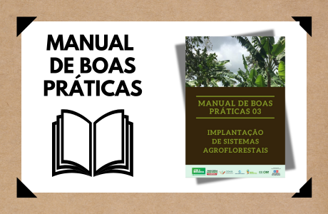 Implantação de Sistemas Agroflorestais