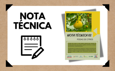 Poda de Cítricos – Nota técnica