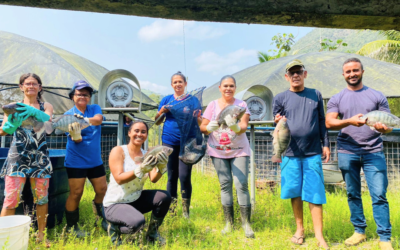 Cedasb e Projeto Bahia Produtiva: Sucesso na Comunidade de Serra Pelada com a Piscicultura