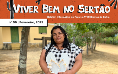 DO DESAFIO AO EMPREENDEDORISMO: LÚCIA E A CUSTOMIZAÇÃO DE CHINELOS – BOLETIM Nº06.2025