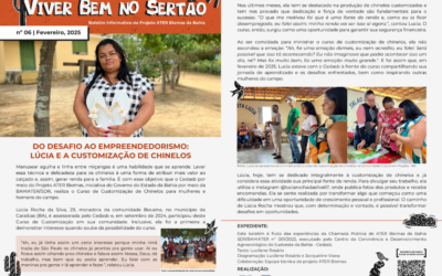 DO DESAFIO AO EMPREENDEDORISMO: LÚCIA E A CUSTOMIZAÇÃO DE CHINELOS – BOLETIM Nº06.2025
