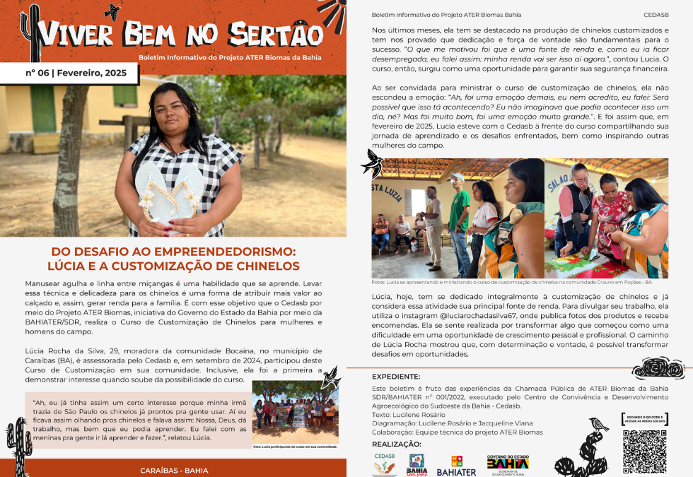 DO DESAFIO AO EMPREENDEDORISMO: LÚCIA E A CUSTOMIZAÇÃO DE CHINELOS – BOLETIM Nº06.2025