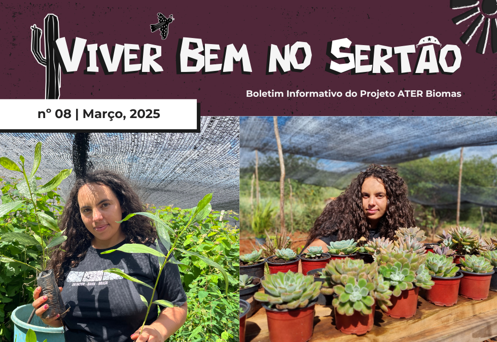 O PROTAGONISMO RURAL DA JOVEM AGRICULTORA ERICA CORDEIRO ENTRE MUDAS, BOLOS E SONHOS – BOLETIM Nº08.2025