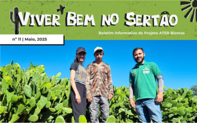 Palma Doce Forrageira e Assistência Técnica: uma Aliança pela Autonomia na Alimentação Animal – Boletim nº 11.2025