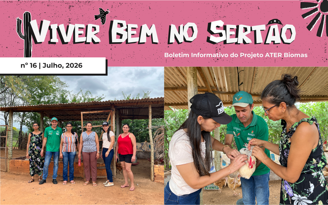 QUANDO AS MULHERES DECIDEM CAMINHAR JUNTAS: a história da Associação Comunitária de Mulheres da Lagoa das Caraíbas II – BOLETIM Nº 16.2026