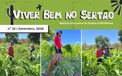 CACAU NA CAATINGA: UM SONHO QUE COMEÇA A CRIAR RAÍZES EM CORDEIROS – BOLETIM Nº 22.2026