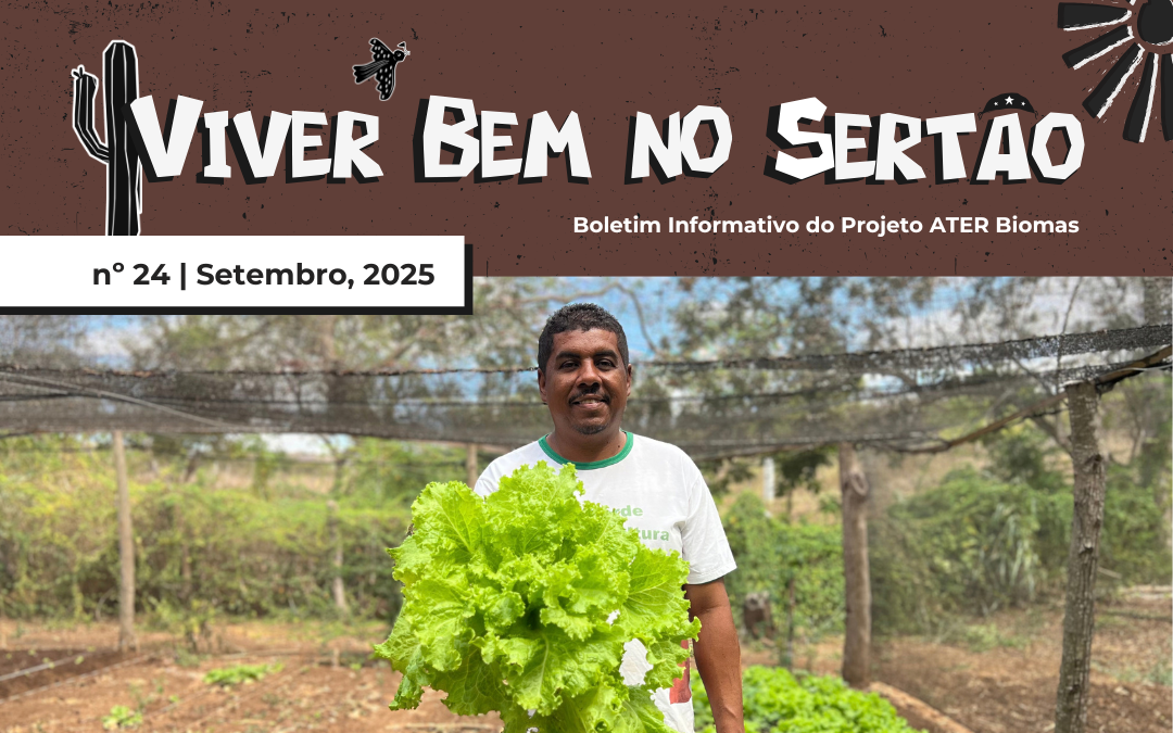 “FOI A AULA DE CAMPO SOBRE CANTEIROS ECONÔMICOS QUE ME MOTIVOU A CONTINUAR CULTIVANDO HORTALIÇAS” – BOLETIM Nº24.2026